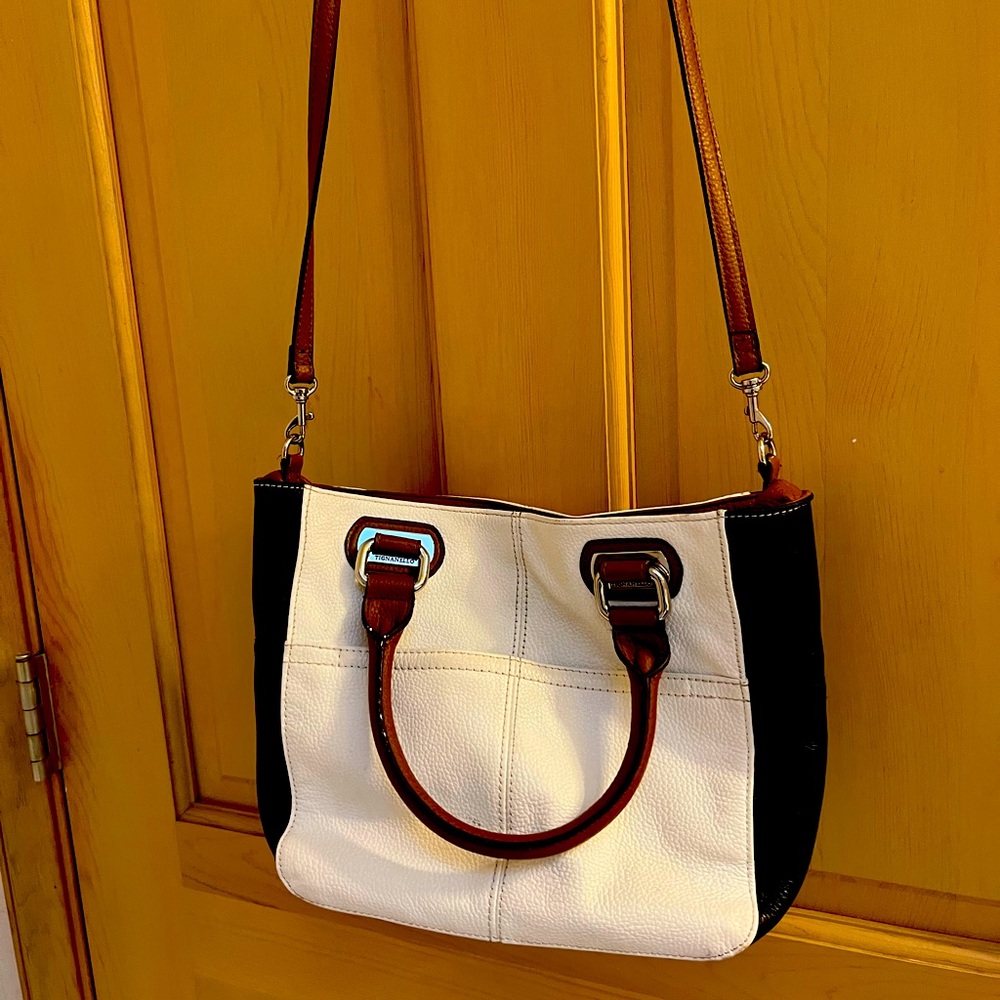 Tignanello leather purse